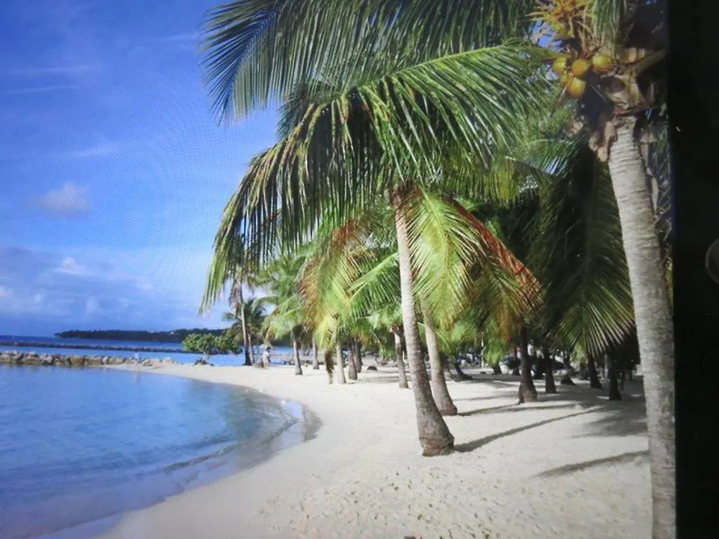 Club Marine 19 - Plage Ste Anne Acces Direct, Vue Mer, Piscine, Parkings kontakt